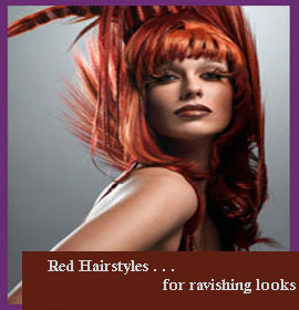 Click here for more info