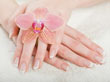Manicure
