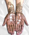 Mehandi Designs