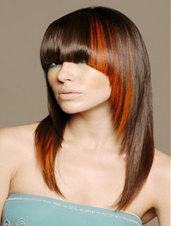 Hair Highlights5 Hair Highlights5
